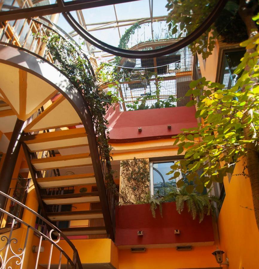 Chalet Del Carmen, Coyoacan Ciudad de México Exterior foto